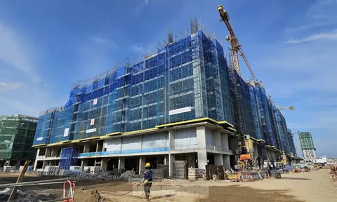 Hải Phòng bố trí 400 căn hộ cho cán bộ Hải Dương sau sáp nhập