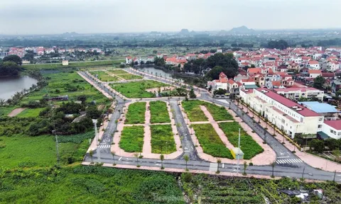 Hà Nội: Rầm rộ đấu giá đất rồi... bỏ hoang lãng phí