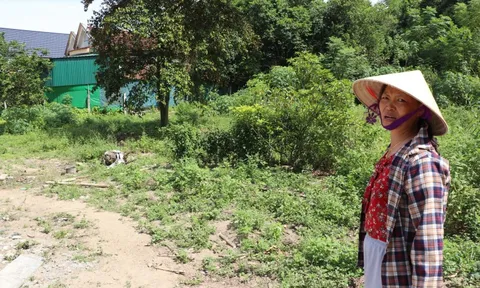 Vụ nộp gần 4,5 tỷ tiền thuế chuyển đổi đất vườn: Khu đất được áp giá bằng 60% bảng giá đất