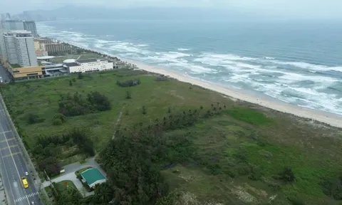 Thu hồi một phần dự án Hòn Ngọc Á Châu để làm công viên công cộng