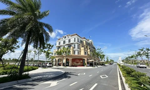 Đất nền và nhà phố phía Tây TP.HCM: Kênh đầu tư nào chiếm ưu thế?
