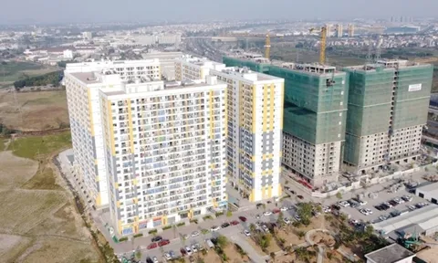 Công ty không xác nhận thu nhập để mua nhà ở xã hội, người lao động cần làm gì?
