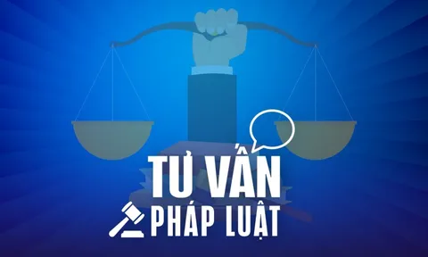 Muốn cho anh trai thêm đất, có phải làm lại giấy phân chia di sản?