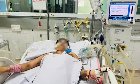 'Cơn bão cytokin' đe dọa tính mạng người trẻ khỏe khi mắc sốt xuất huyết