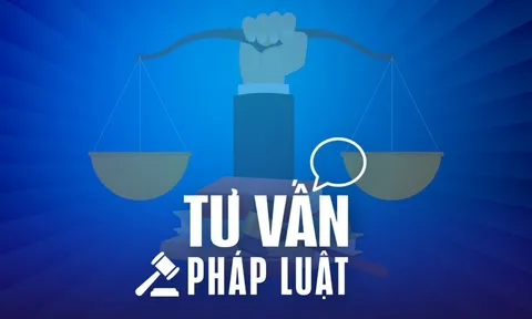 Đang nợ thuế có được thôi quốc tịch Việt Nam không?