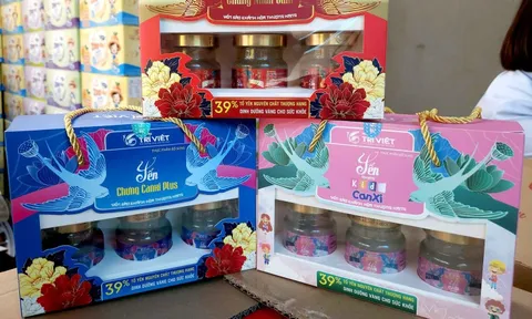 Xử phạt Công ty Yến Trí Việt gần 1 tỉ đồng, chuyển hồ sơ sang công an điều tra hàng giả