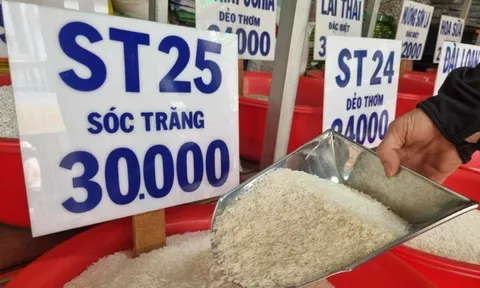 Giá gạo trong nước neo cao, HSBC nâng dự báo tăng trưởng GDP Việt Nam