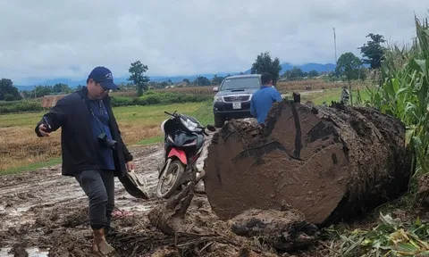 Giao công an làm rõ nhóm người lạ đưa xe múc đào bờ sông Ayun để lấy gỗ 'khủng'