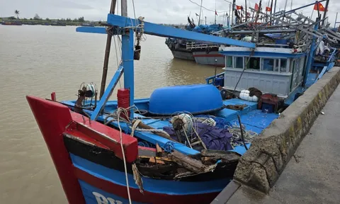 Xác minh tàu cá Đắk Lắk tố bị 3 tàu cá khác tấn công, lấy tài sản