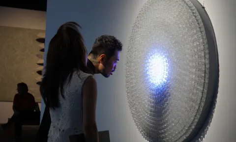 Chuyện đám bèo hoa dâu Việt Nam được Phạm Tuân mang lên vũ trụ bước vào tác phẩm nghệ thuật