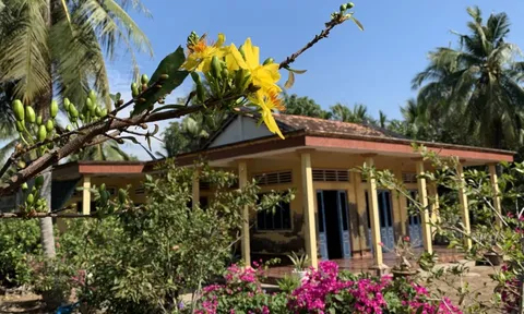 Ngôi nhà hình tổ chim câu