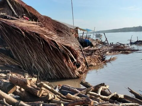 Nhà cửa, lò than ở Cà Mau bị sông 'nuốt chửng', 200 triệu đồng trôi theo dòng nước
