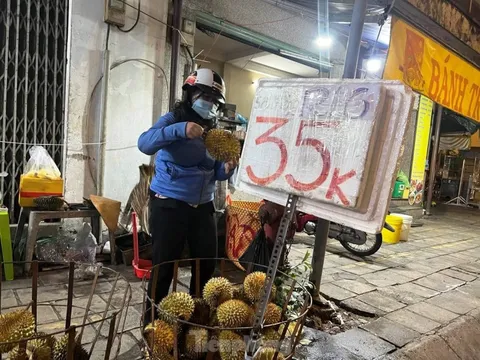 Sầu riêng 'hàng dạt' giá rẻ đổ bộ vỉa hè TPHCM