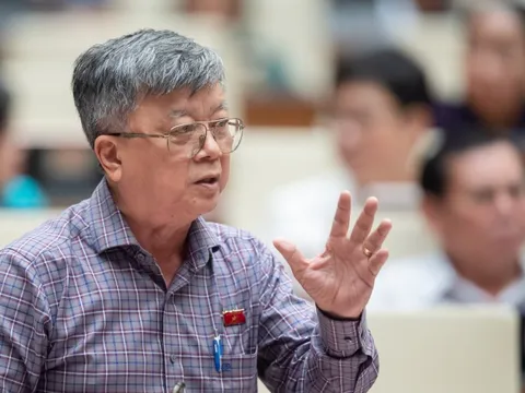 Đại biểu Quốc hội: Luật Đấu thầu không phải 'vòng kim cô'