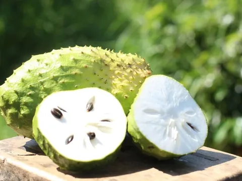 Mãng cầu thanh mát giải nhiệt mùa hè nhưng những người này tuyệt đối không nên ăn