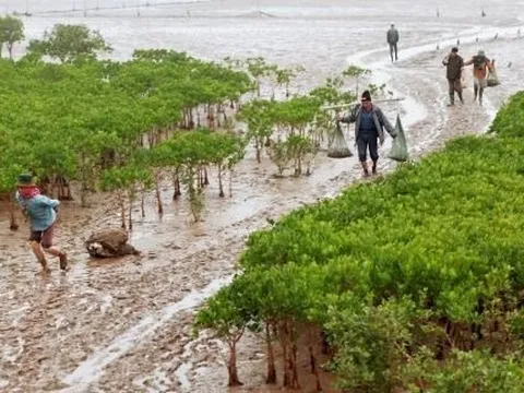 Vụ học sinh và phụ huynh tử vong: Chương trình tổ chức tự phát