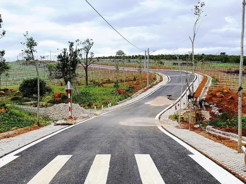 Lâm Đồng ‘cởi trói’ việc tách, hợp thửa đất sau hai năm tìm cách hạn chế