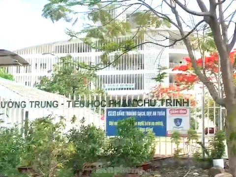 Vụ hơn 10.000 học sinh ở Bình Dương phải thi lại: Phạt 8,5 triệu đồng một trường tư