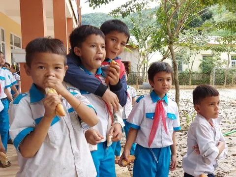 Chậm trễ triển khai, học sinh miền núi Quảng Nam chờ hết năm học vẫn không được uống sữa học đường