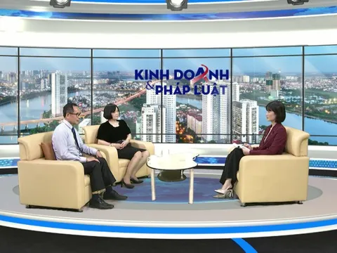 Tranh chấp khi thông tin không rõ ràng trong hợp đồng bảo hiểm – Lưu ý cho các bên