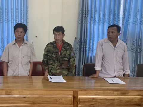 Chặt 8 cây gỗ lớn trong rừng, 3 người đàn ông bị khởi tố