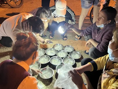 Khám phá phiên chợ bán mực nháy ở Cửa Lò giữa đêm hút người mua