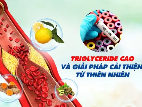 Triglyceride cao và giải pháp cải thiện từ thiên nhiên