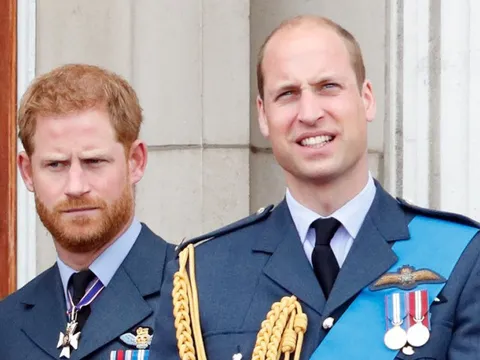 Chi tiết cho thấy sự quan tâm của William với Harry