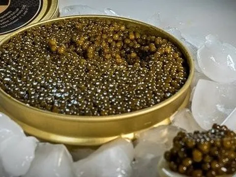 7 loại trứng cá muối đắt đỏ nhất thế giới, loại đầu tiên ngang ngửa căn chung cư