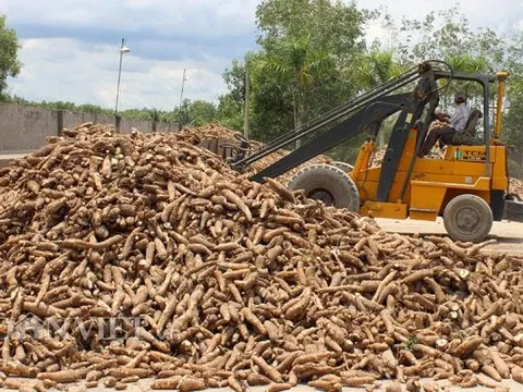Yêu cầu đối thoại ngay với doanh nghiệp ‘vướng’ thuế VAT