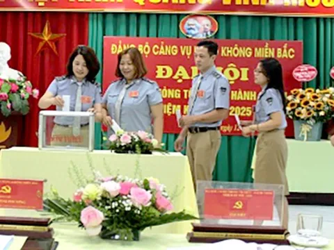 Lấy phiếu tín nhiệm lãnh đạo hàng không, người phiếu thấp phải từ chức