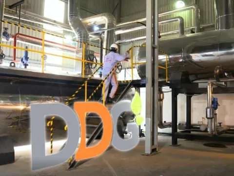 Chủ tịch Indochine Imex bị bán giải chấp hơn 1,6 triệu cổ phiếu