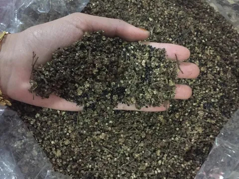 TIN NHANH 12H: Ồ ạt bán vàng bất chấp lỗ; Phát hiện chất chống ung thư từ loại gia vị phổ biến