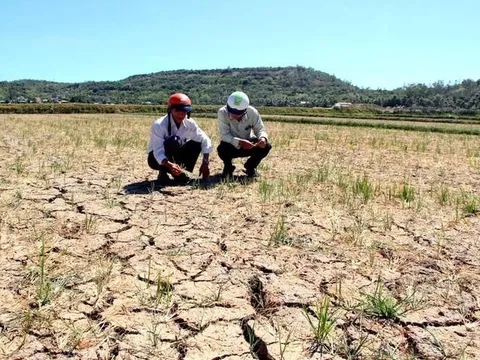 El Nino dự báo gây hạn hán nặng ở hàng loạt tỉnh miền Trung
