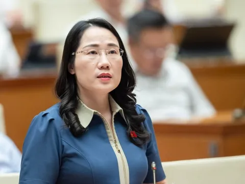 Đề nghị Bộ Công an vào cuộc, thanh tra toàn diện bảo hiểm nhân thọ