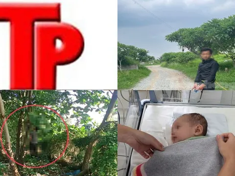 Bản tin Hình sự: Tình tiết mới vụ bé gái 4 tuổi nghi bị cha ruột sát hại