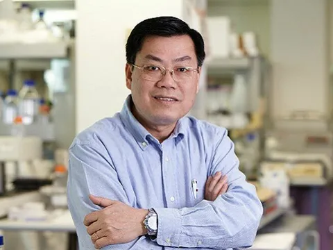 Giáo sư Nguyễn Văn Tuấn: Đưa môn Văn vào xét tuyển ngành y, chẳng có gì phải băn khoăn