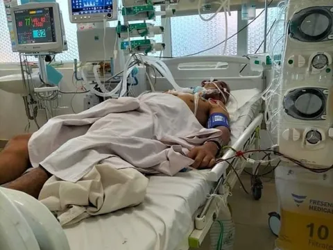 Hái nấm lạ trên rẫy về ăn, một người nguy kịch