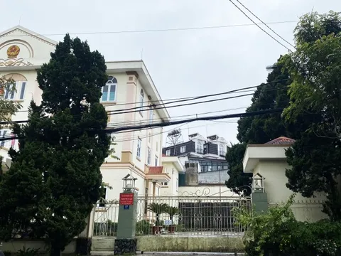 Chánh án và thẩm phán TAND TP Đà Lạt bị đề nghị xử lý trách nhiệm