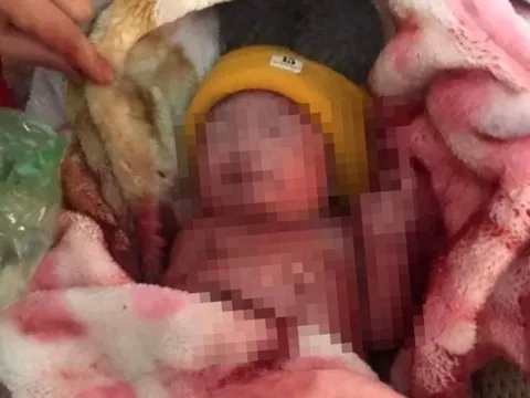 Vụ bé trai một ngày tuổi bị bỏ bên đường: Người nhặt được chính là mẹ ruột