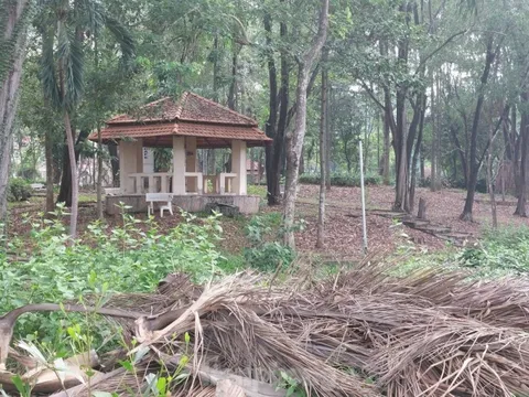 Cận cảnh công viên lớn nhất Bình Dương hoang tàn, ngập rác thải