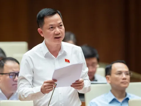 Doanh nghiệp phải đi xin đi chạy, giải quyết được thì đã 'gần đất xa trời'