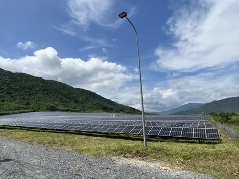 Méo mó dự án điện mặt trời: Xử lý vi phạm như thế nào?