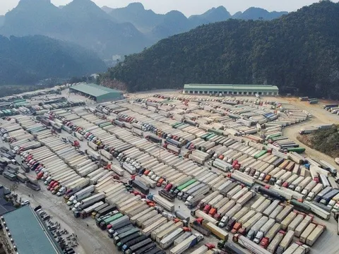 Thủ tướng: Cấp bách giảm ùn ứ nông sản tại các cửa khẩu