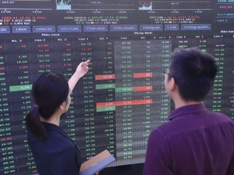 'Mưa' cổ phiếu xây dựng, bất động sản tăng trần