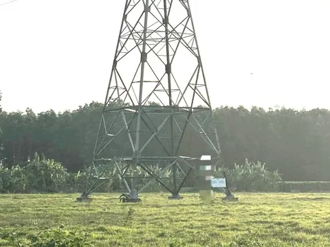 Lên mạng viết xin lỗi gia đình, nam thanh niên tự tử dưới trụ điện cao thế