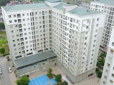 Thanh tra, giám sát, xử lý nghiêm các vi phạm mua bán nhà ở xã hội