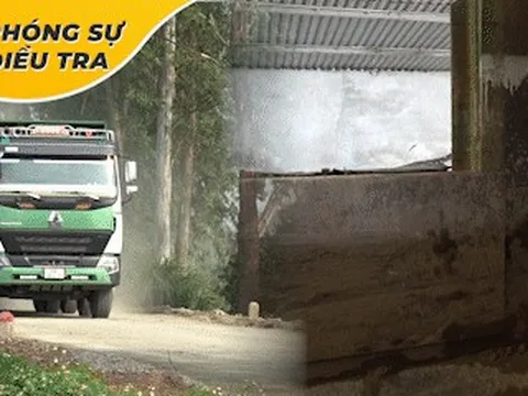 Bí mật ẩn sau màn 'biến hình' quá khổ của các xe howo