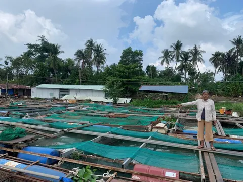 Khoảng 50 tấn cá các loại chết trên sông Cái ở Đồng Nai