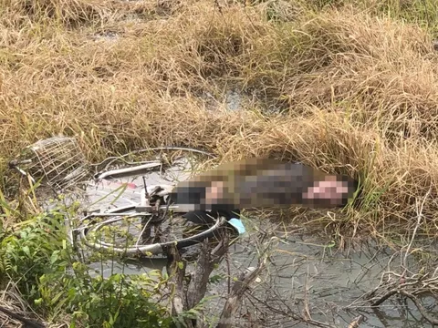 Nam thanh niên đi xe đạp ngã xuống ruộng tử vong